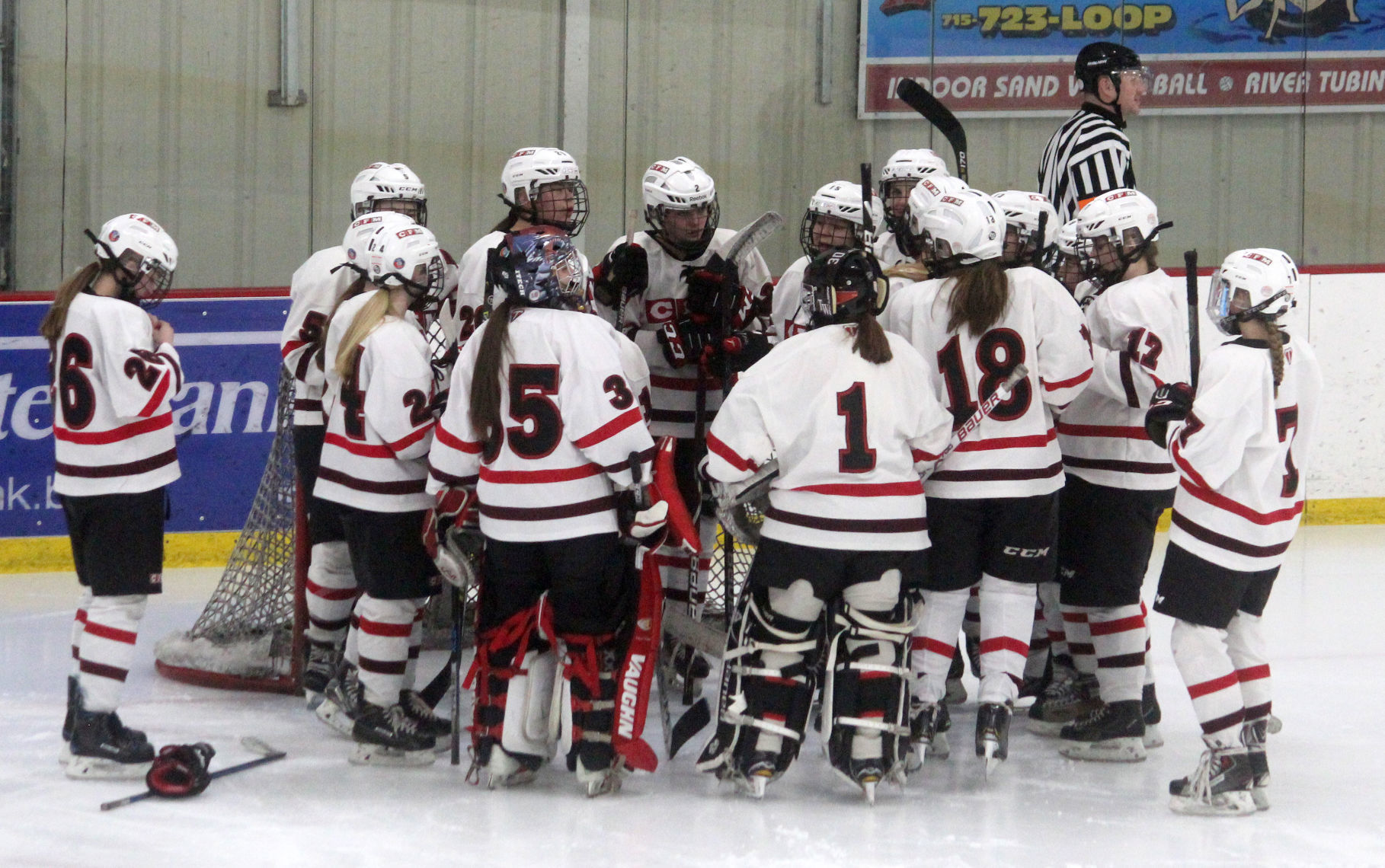 Hudson at Chi-Hi/Menomonie girls hockey 1-10-19